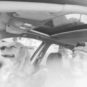 Meet your Posher, Matt